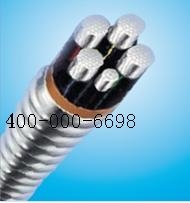 AC90铝合金电力电缆
