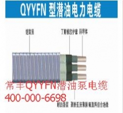 QYYFN潜油泵电缆