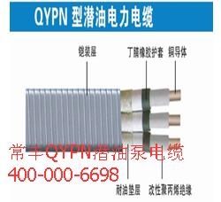 QYPN潜油泵电缆