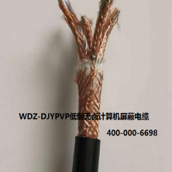 WDZ-DJYPVP计算机电缆