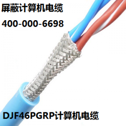 DJF46PGRP计算机电缆