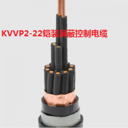 KVVP2-22屏蔽铠装控制电缆