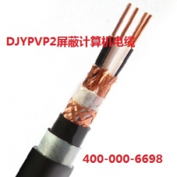 DJYPVP2计算机电缆