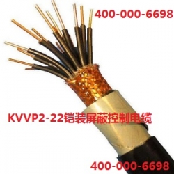 KVVP2-22屏蔽铠装控制电缆