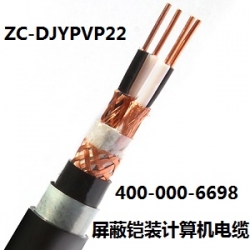DJYPVP22计算机电缆