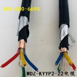 内蒙古WDZ-KYYP2-22控制电缆
